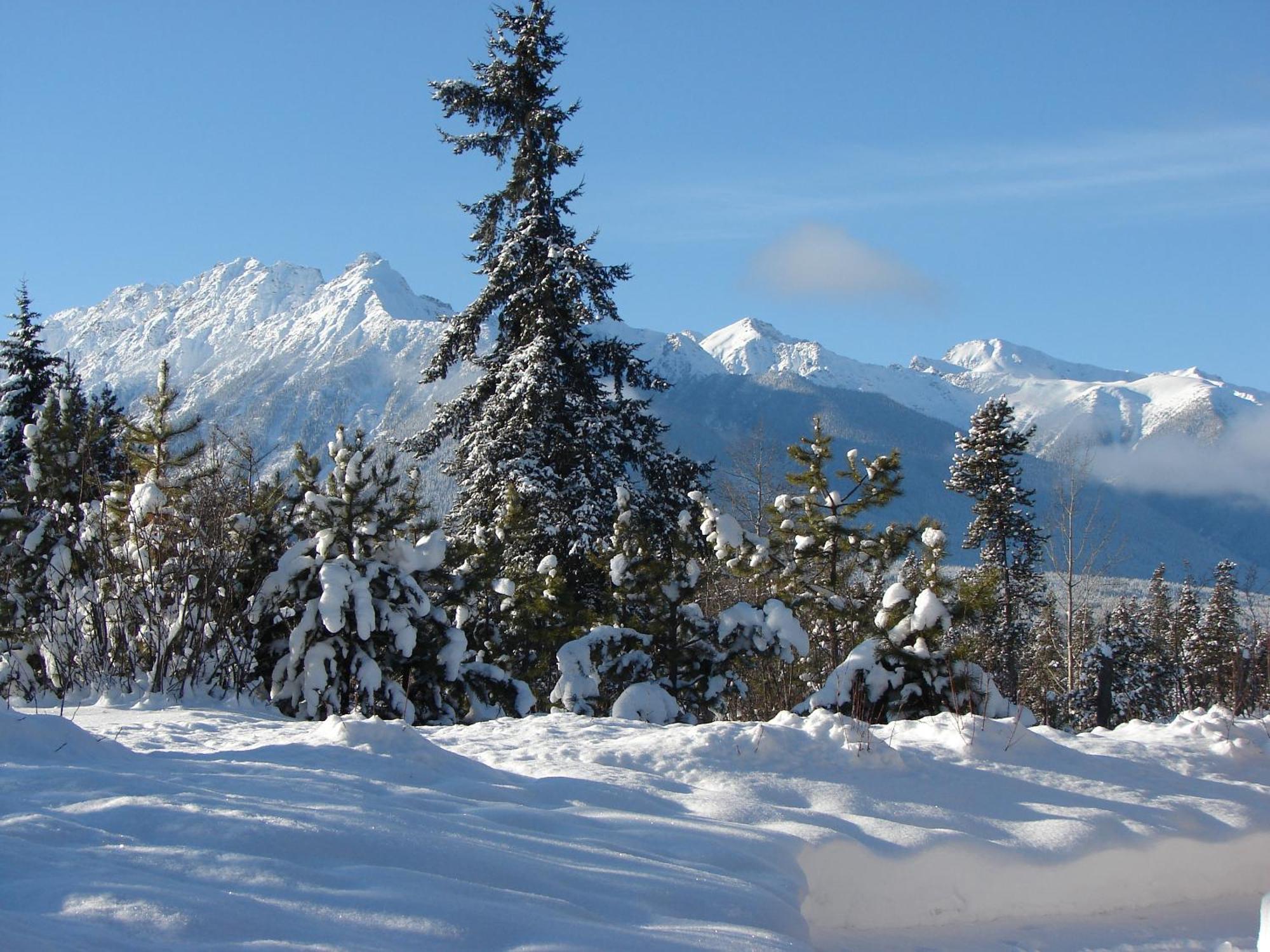 Mica Mountain Lodge & Log Cabins แต็ต โฌน กาช ภายนอก รูปภาพ